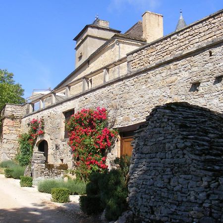 Promilhanes Chateau De Laumiere المظهر الخارجي الصورة
