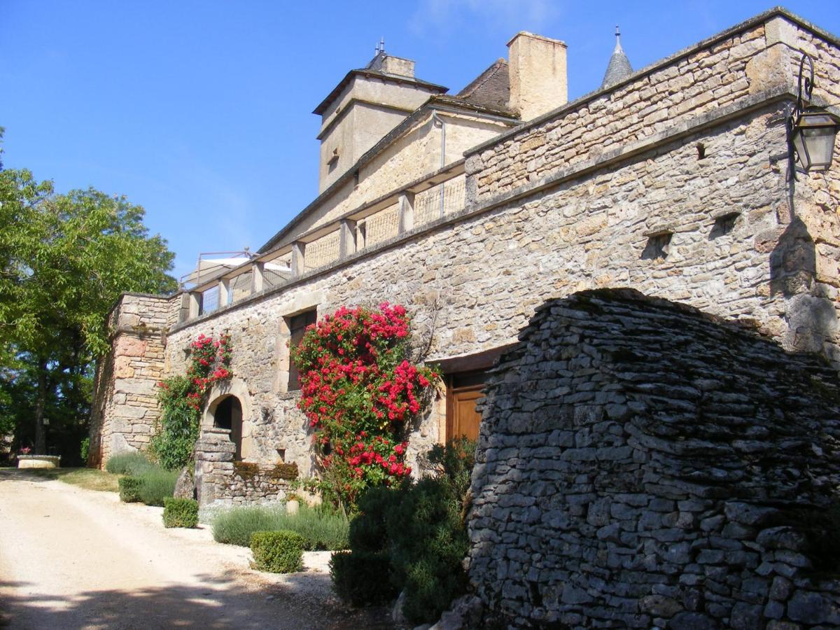 Promilhanes Chateau De Laumiere المظهر الخارجي الصورة